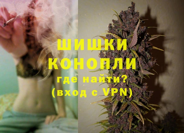 mdpv Заводоуковск
