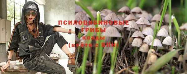 mdpv Заводоуковск