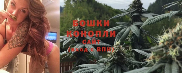 mdpv Заводоуковск